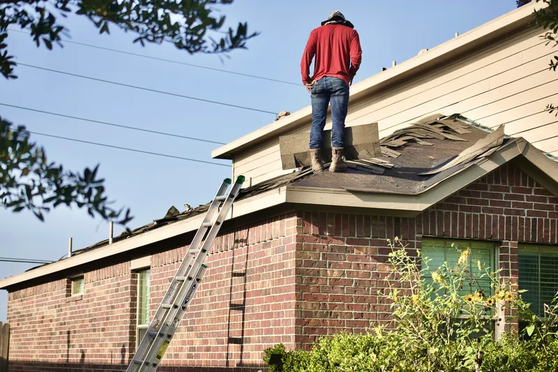 A roofer viewed from behind stands beside lifted asphalt shingles and a ladder during a residential roof tear-off.
