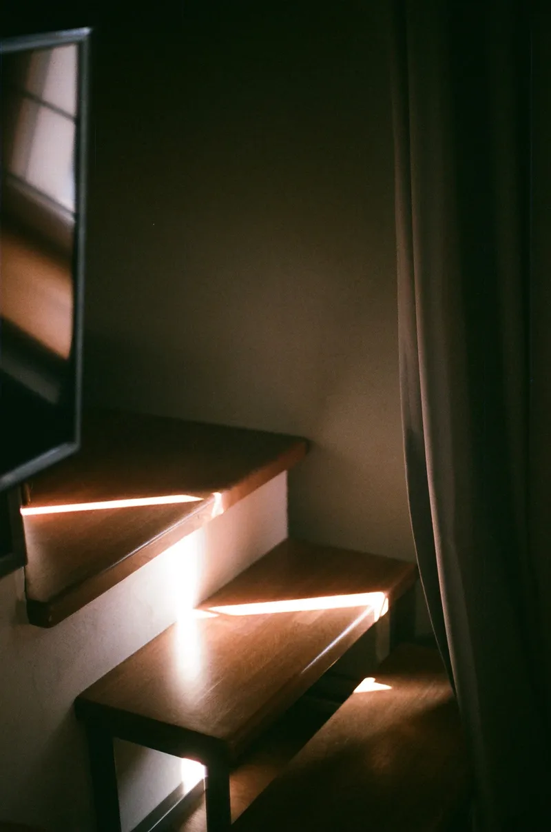 Sunlight falls across finished wood stair treads between interior walls.